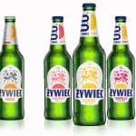 Żywiec 0%