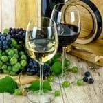 Wino lampka 10cl