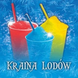 Logo Kraina Lodów