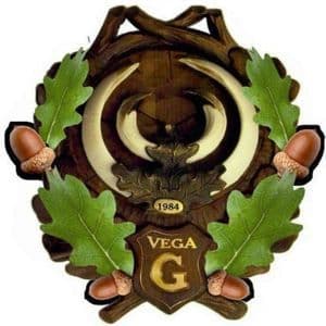 Logo Vega