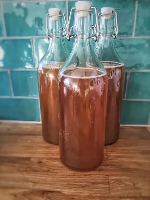 Kombucha, czyli eliksir długowieczności