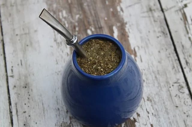 Yerba Mate- egzotyczna i zdrowa